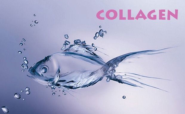 Collagen cá - protein chống lão hóa tuyệt vời