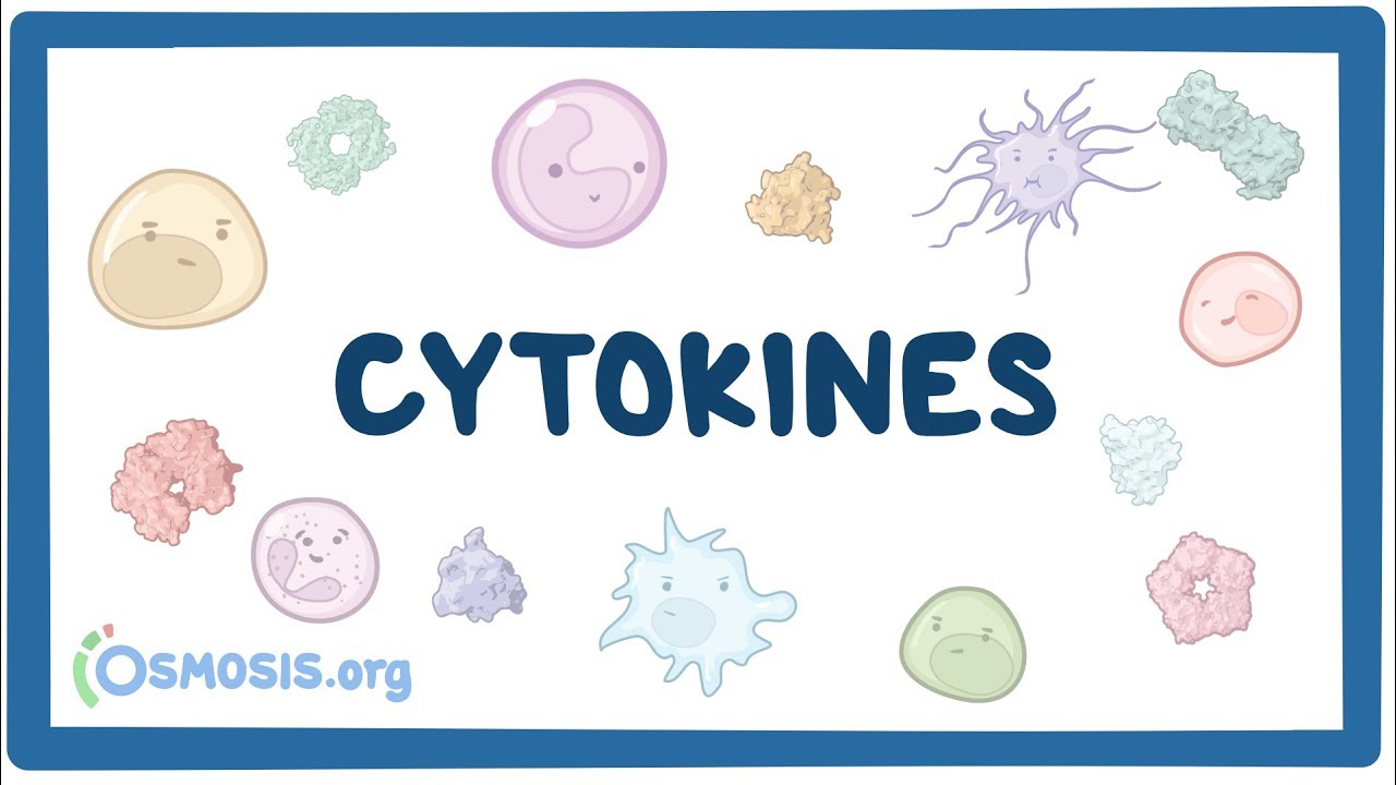 4 lợi ích của cytokine đối với cơ thể
