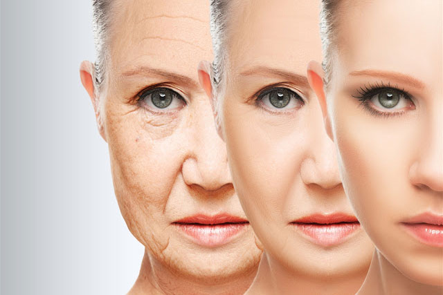 Tại sao mức collagen của bạn lại suy giảm theo tuổi tác?