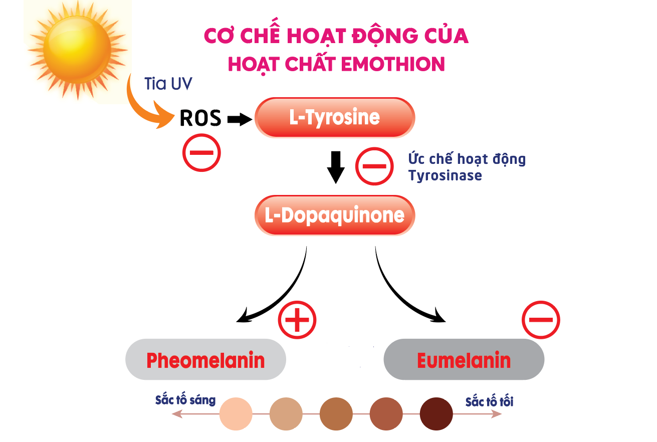 Hiểu Đúng Về L-Glutathione – Bí Quyết Cho Làn Da Trắng Sáng