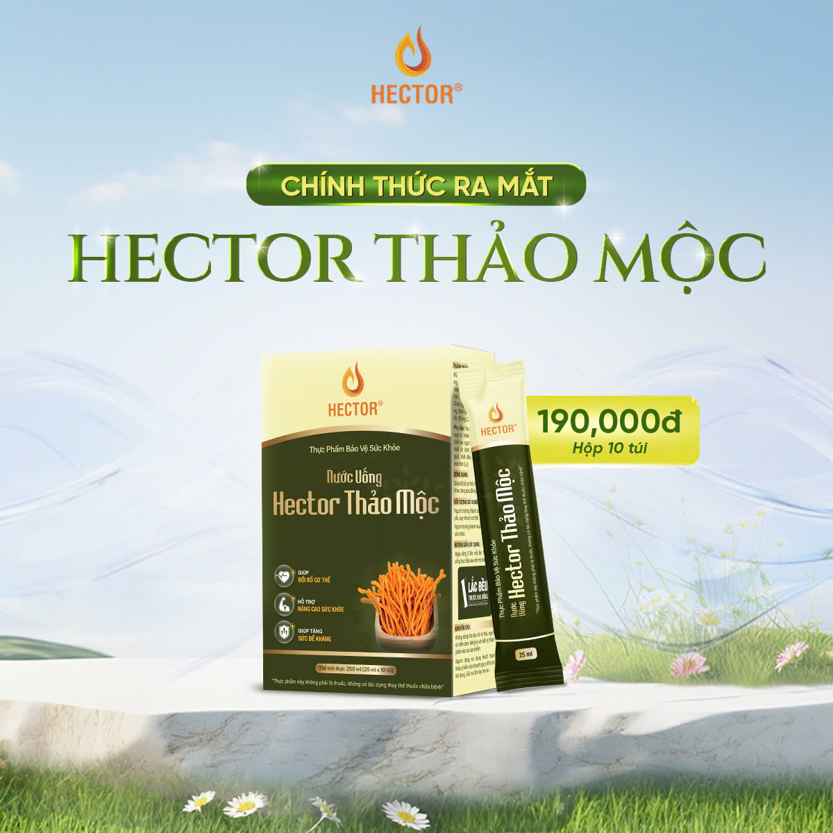 Nước uống Hector Thảo Mộc