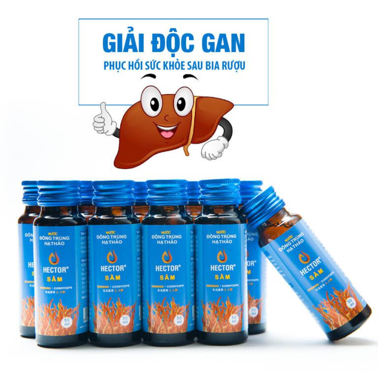 giải độc gan