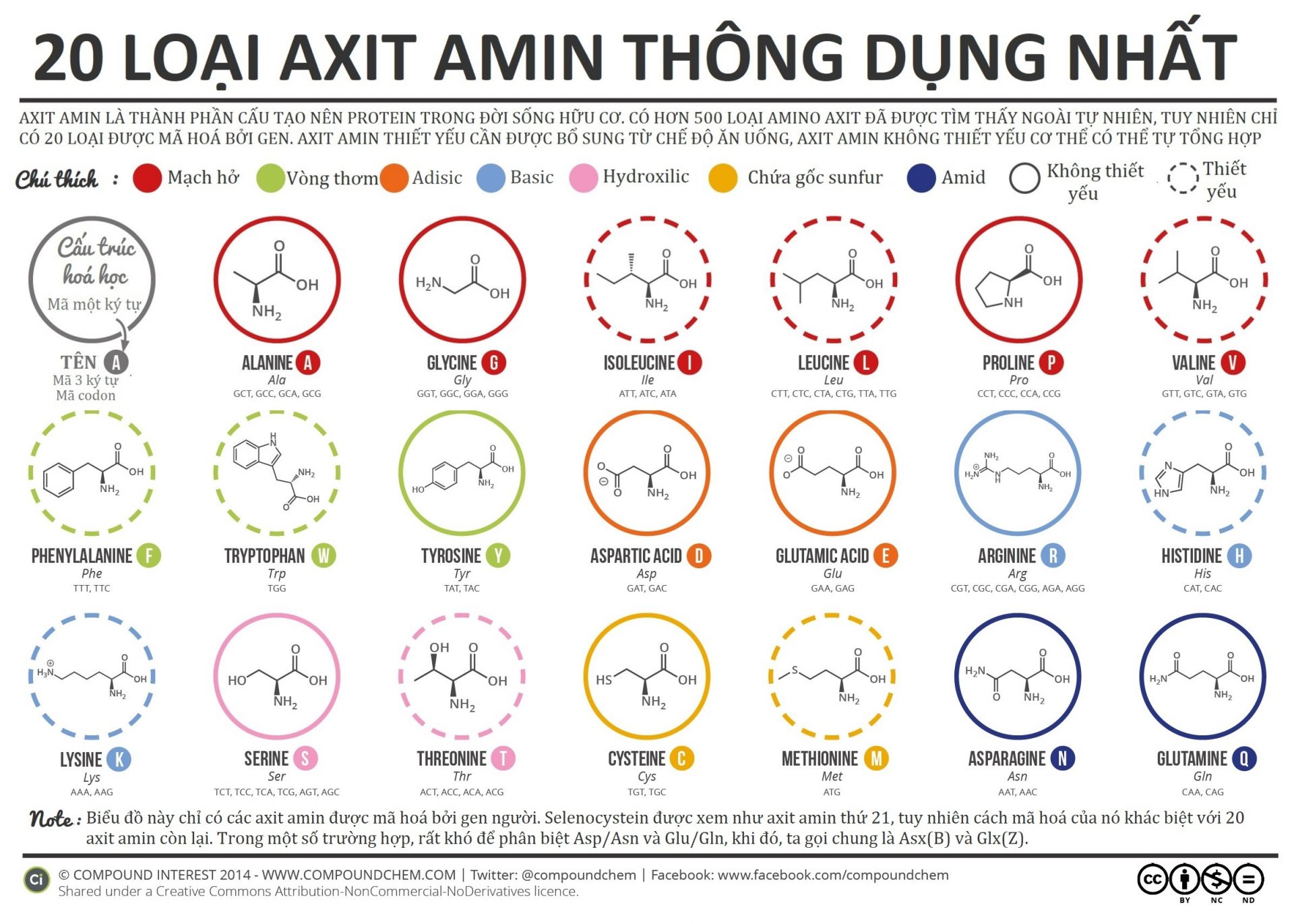 20 loại axit amin