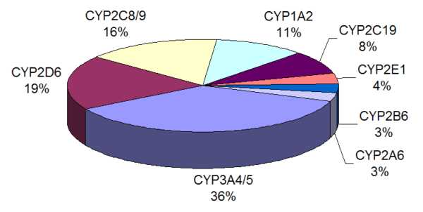 Hệ enzym CYP450 chiếm đa số các chu trình chuyển hóa của cơ thể
