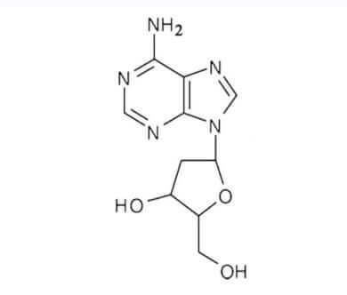 Công thức hóa học của Cordycepin