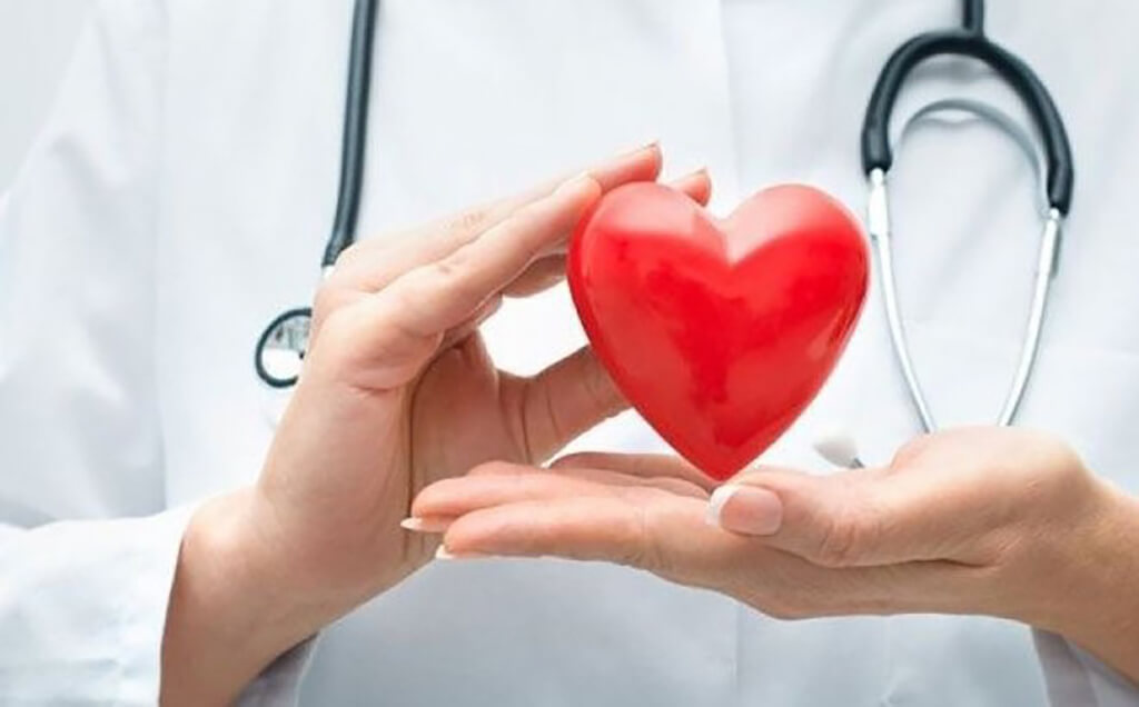 sâm đông trùng hạ thảo cải thiện sức khỏe tim mạch