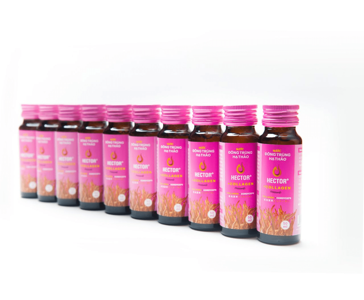nuoc-uong-dong-trung-ha-thao-hector-collagen