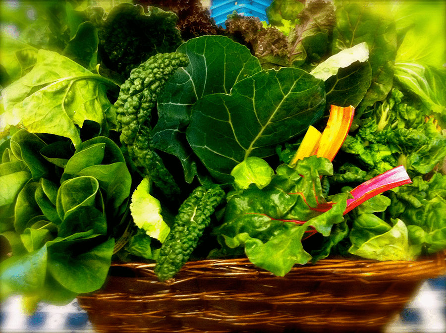 Nhóm rau xanh và rau gia vị: rau ngót, rau dền, rau đay; mùi, tía tô, húng; thì là