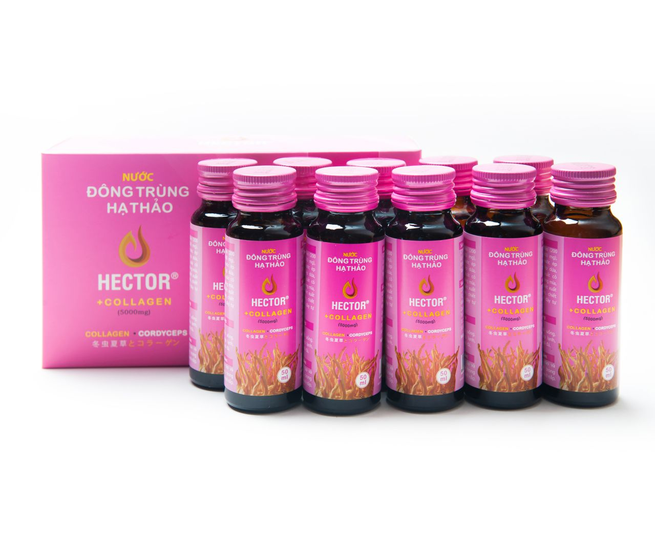 Nước đông trùng hạ thảo Hector Collagen