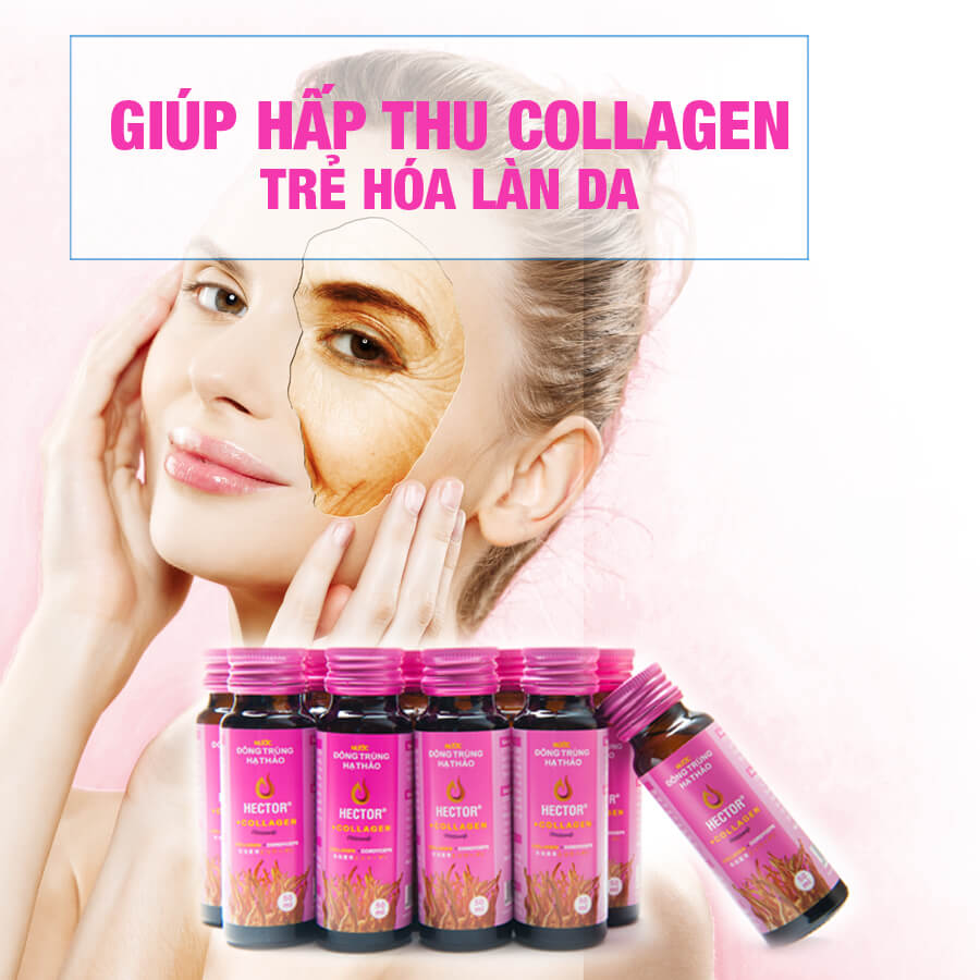 Bổ sung collagen an toàn hiệu quả bằng việc sử dụng sản phẩm Hector collagen