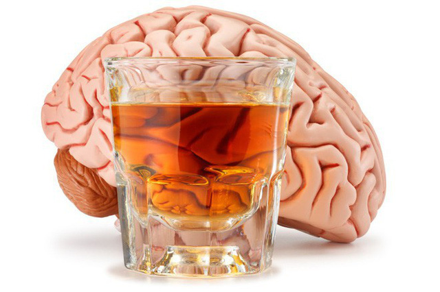 uống rượu bia hại não